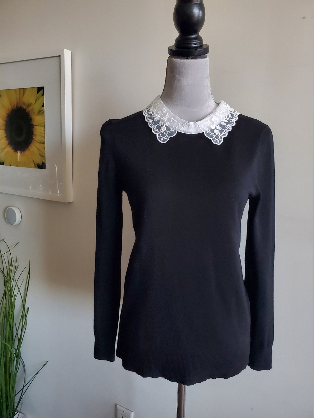 Lace Collar Top